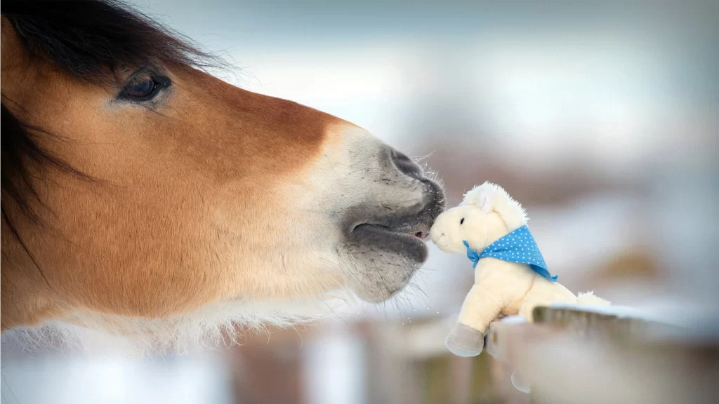 Horse Toy Winter Snow Fence