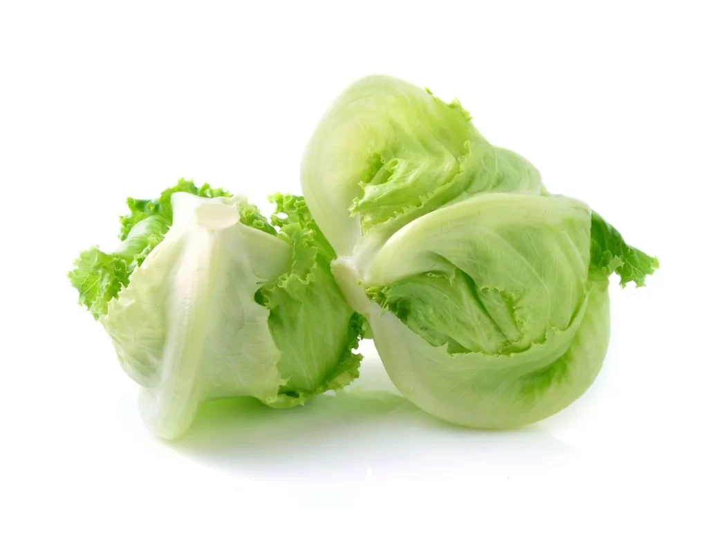 Iceberg Lettuce Green Crisp Crunchy