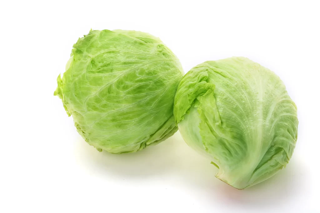 Iceberg Lettuce Green Crisp Fresh