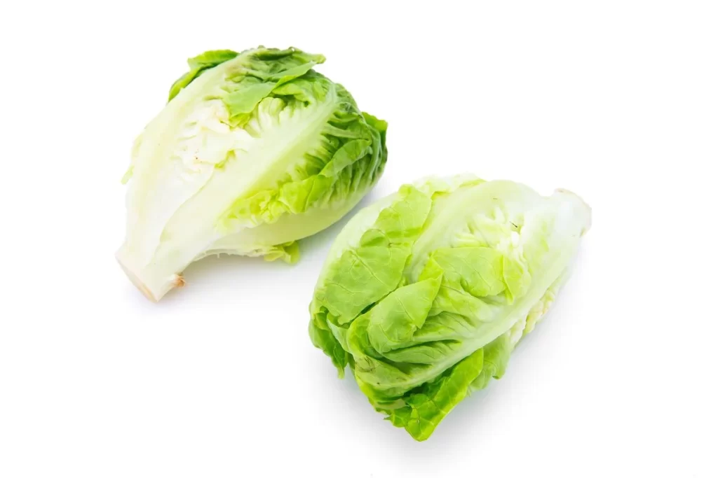Iceberg Lettuce Green Crisp Fresh