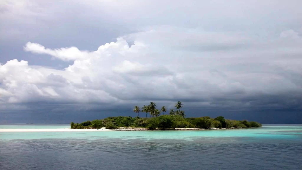island ocean clouds sky palm trees beach