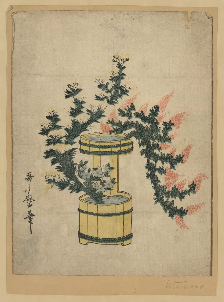 Japanese Art Botanical Illustration Traditional Style Green Foliage Pink Blossoms Wooden Buckets