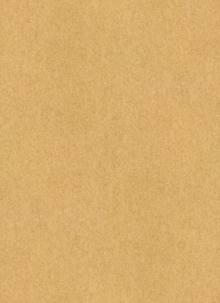 Kraft Paper Texture Beige Cardboard Grainy