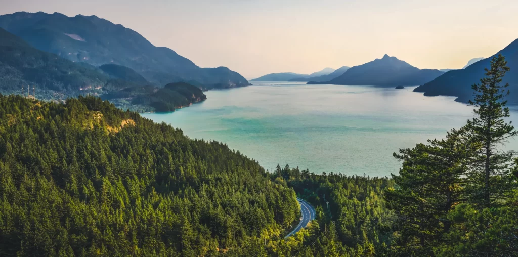 lake mountain forest road nature