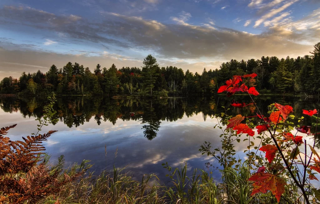 lake reflection trees sky clouds autumn