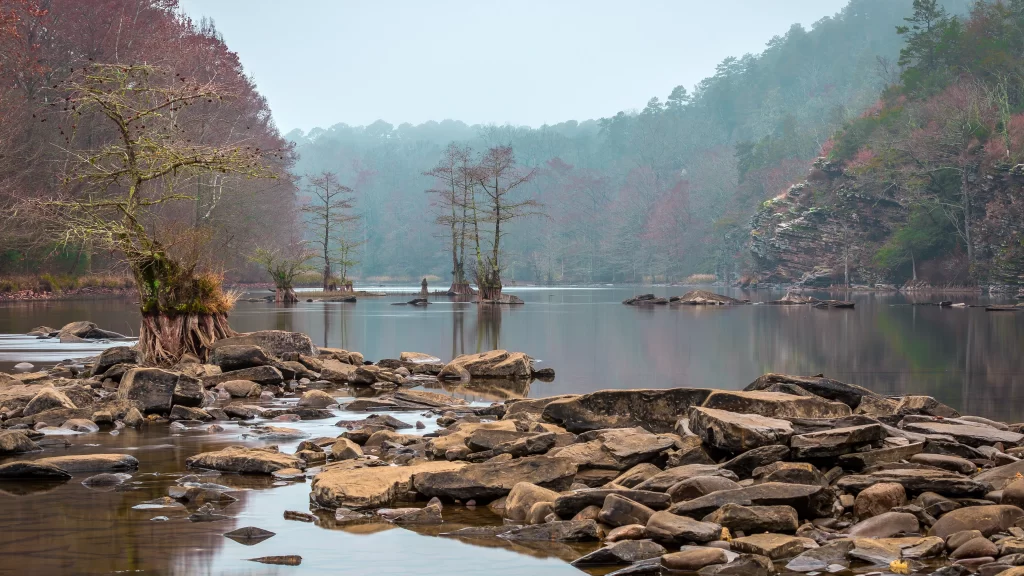 lake rocks trees mist autumn reflection