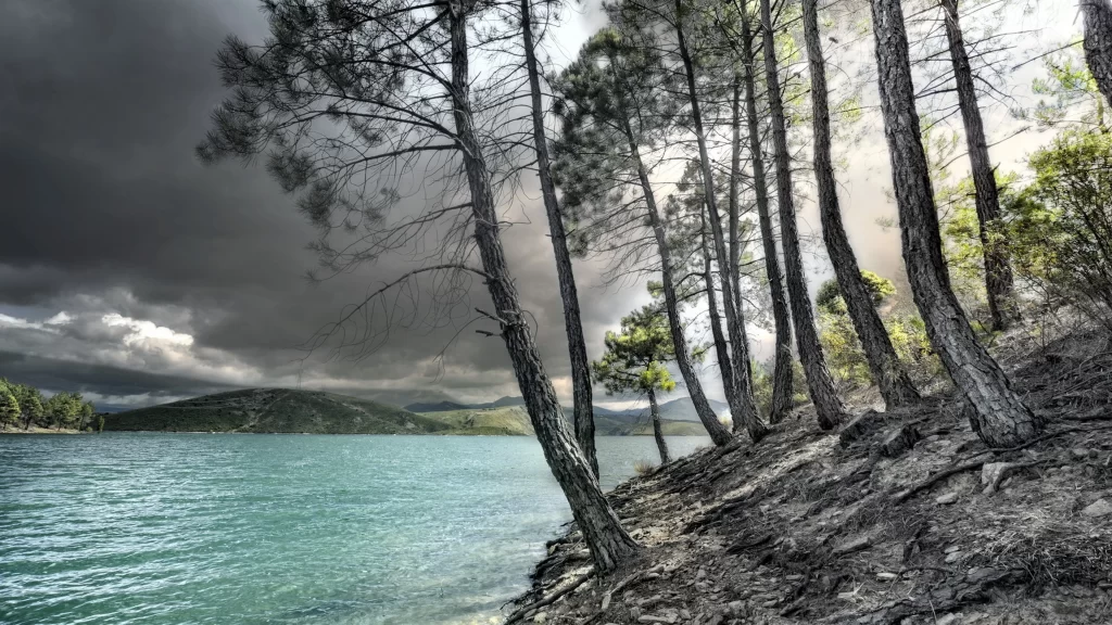 lake trees clouds sunlight landscape nature