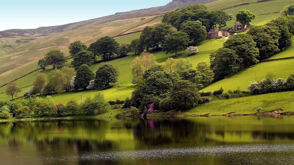 lake trees grass hills reflection sky