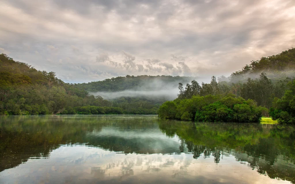 lake trees mist clouds reflection nature