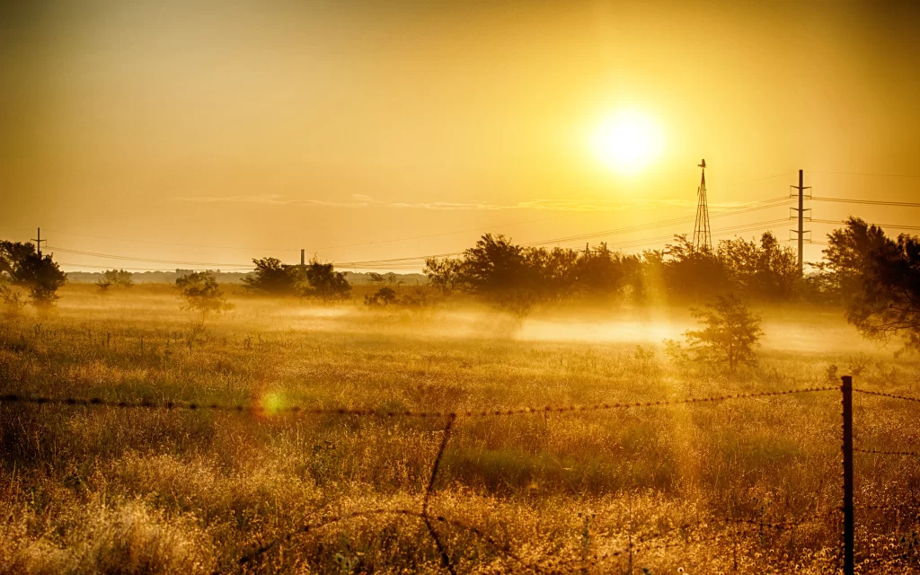 Sunset Golden Field Trees Power Lines Mist