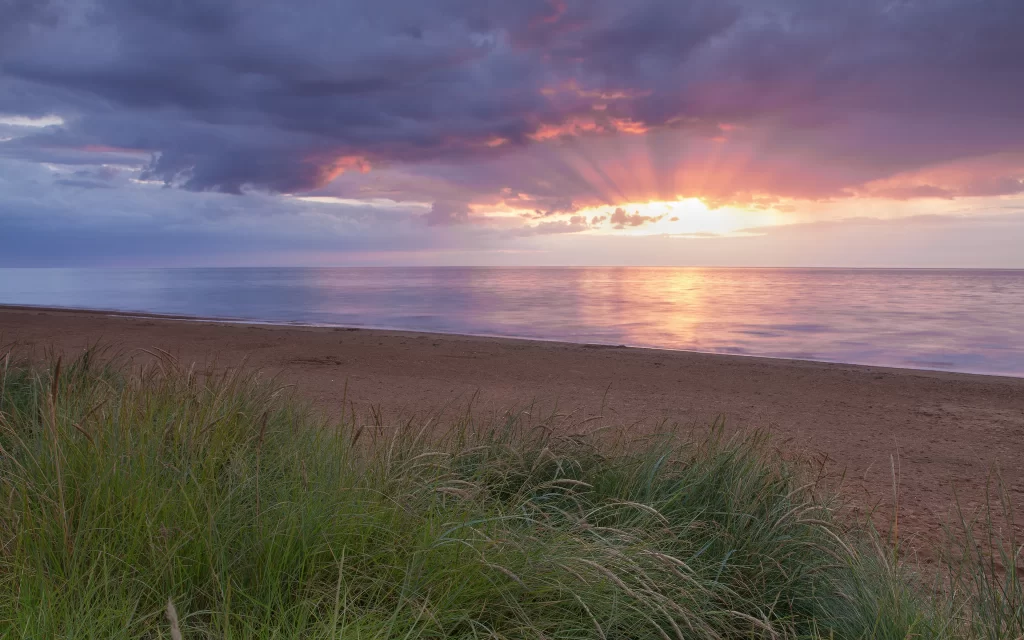Sunset Clouds Ocean Grass Shoreline