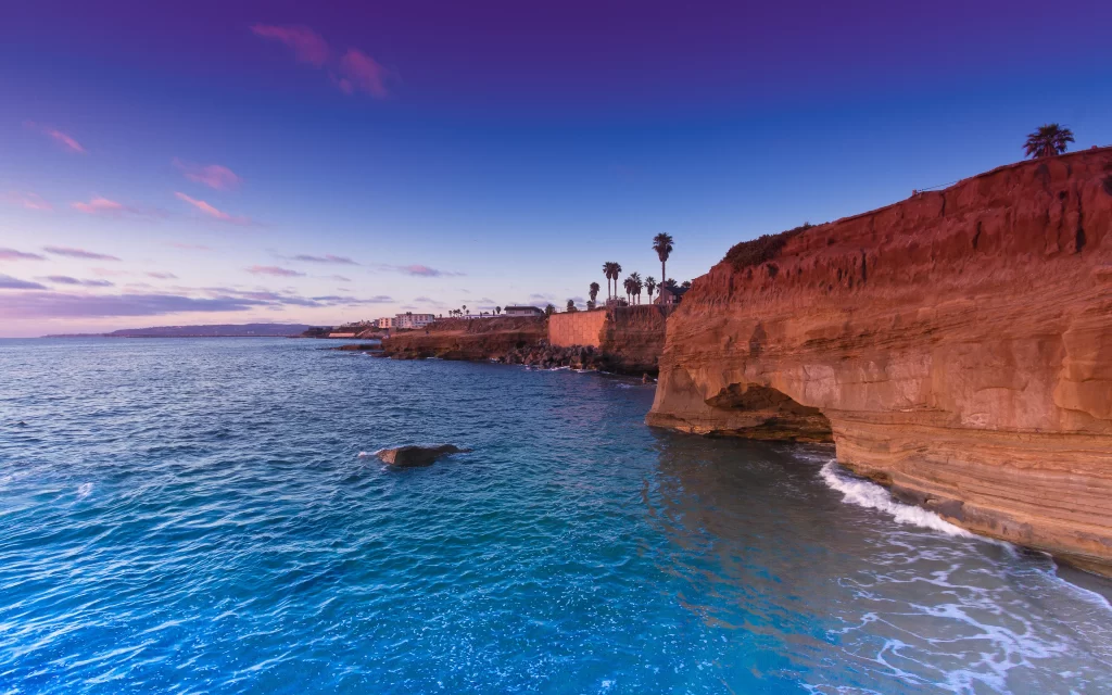 Sunset Ocean Waves Sandy Beach Cliff Palm Trees