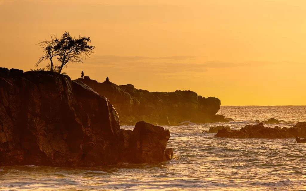 Sunset Silhouette Ocean Rocks Tree