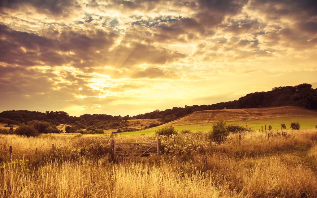Sunset Clouds Meadow Field Gate Nature