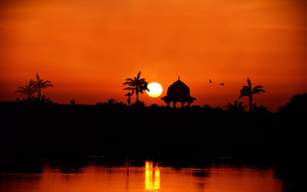 Sunset Orange Silhouette Palm Trees Water Reflection