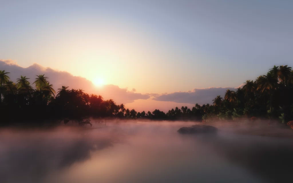 Sunset Mist Palm Trees River Reflection