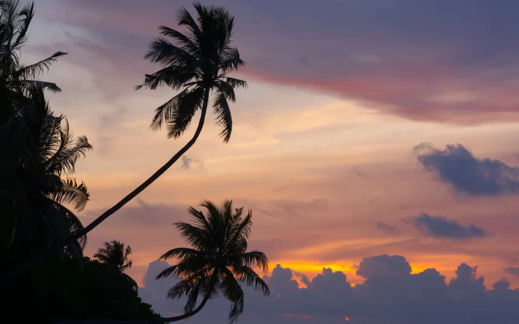 Sunset Orange Clouds Palm Trees Tropical Sky