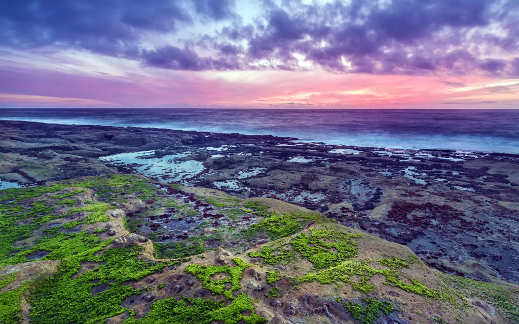 Sunset Purple Clouds Ocean Rocky Shore Green Moss