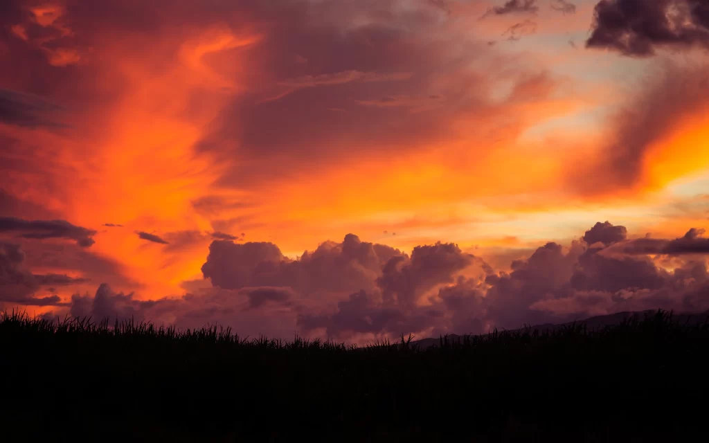 Sunset Orange Clouds Sky Silhouette Grass