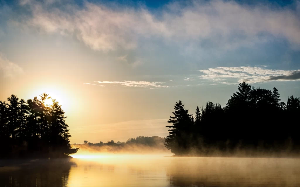 Sunset Mist Trees Water Reflection
