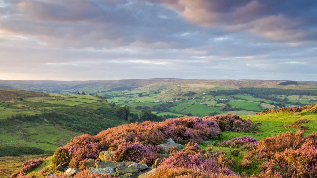 landscape hills heather green sky clouds