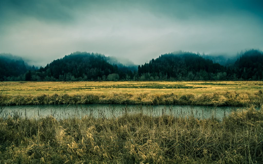 landscape nature field river trees sky