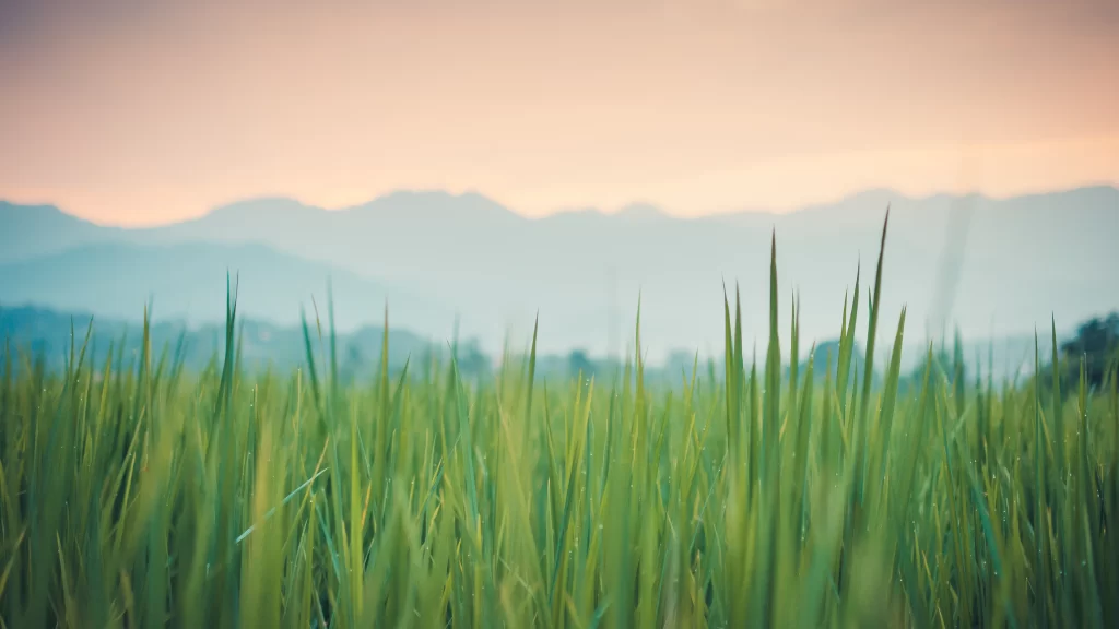 landscape nature grass mountains sky sunrise tranquility greenery