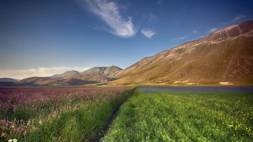 landscape nature mountains flowers sky lake