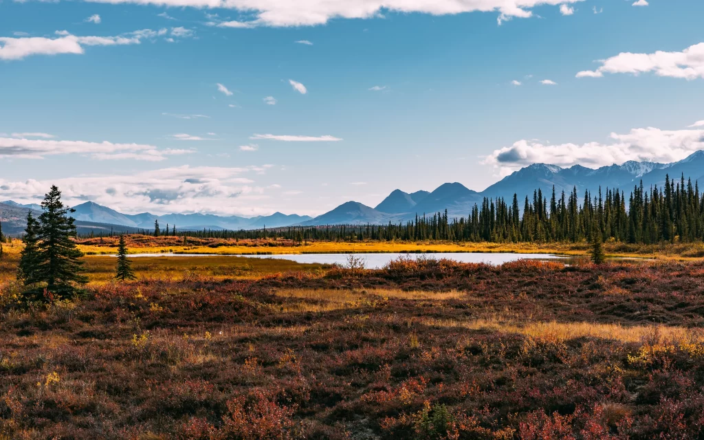 landscape nature mountains trees lake sky