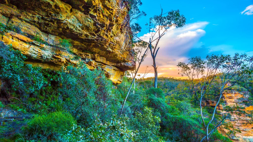landscape nature trees sky sunset