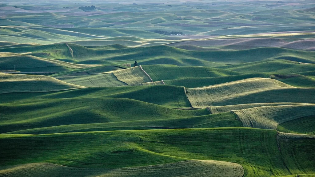 landscape rolling hills green fields agriculture