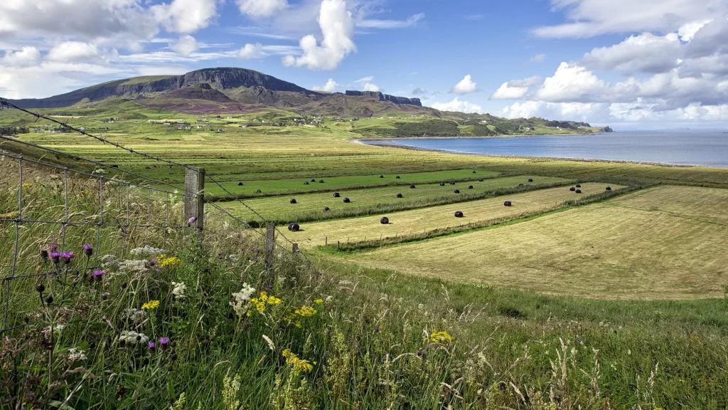 landscape rural fields flowers coastline