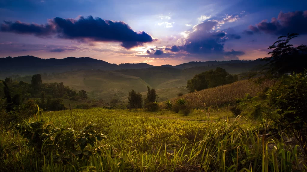 landscape sunset clouds hills vegetation sky