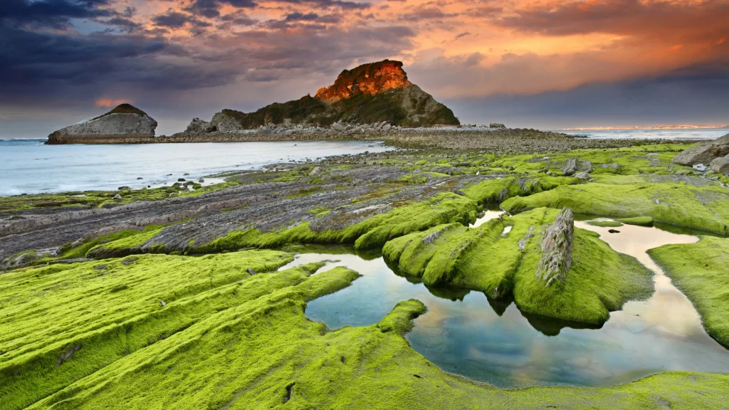landscape sunset ocean rocks green clouds
