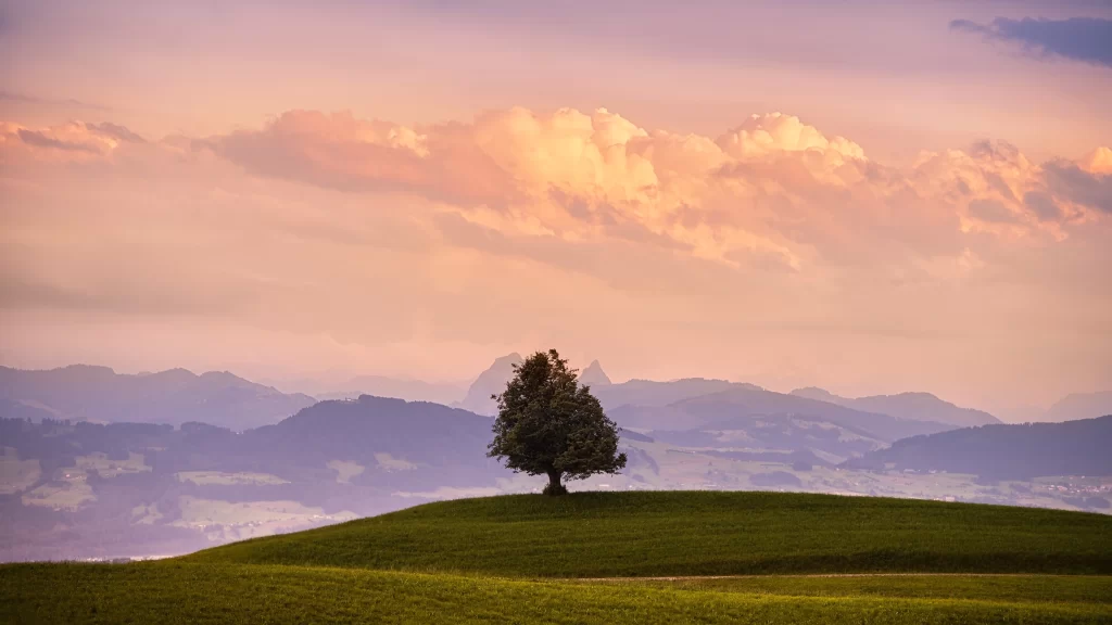 landscape tree hills clouds sunset nature
