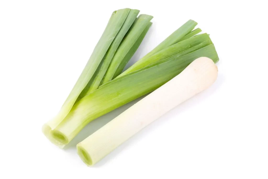 Leek Green Long Stalky