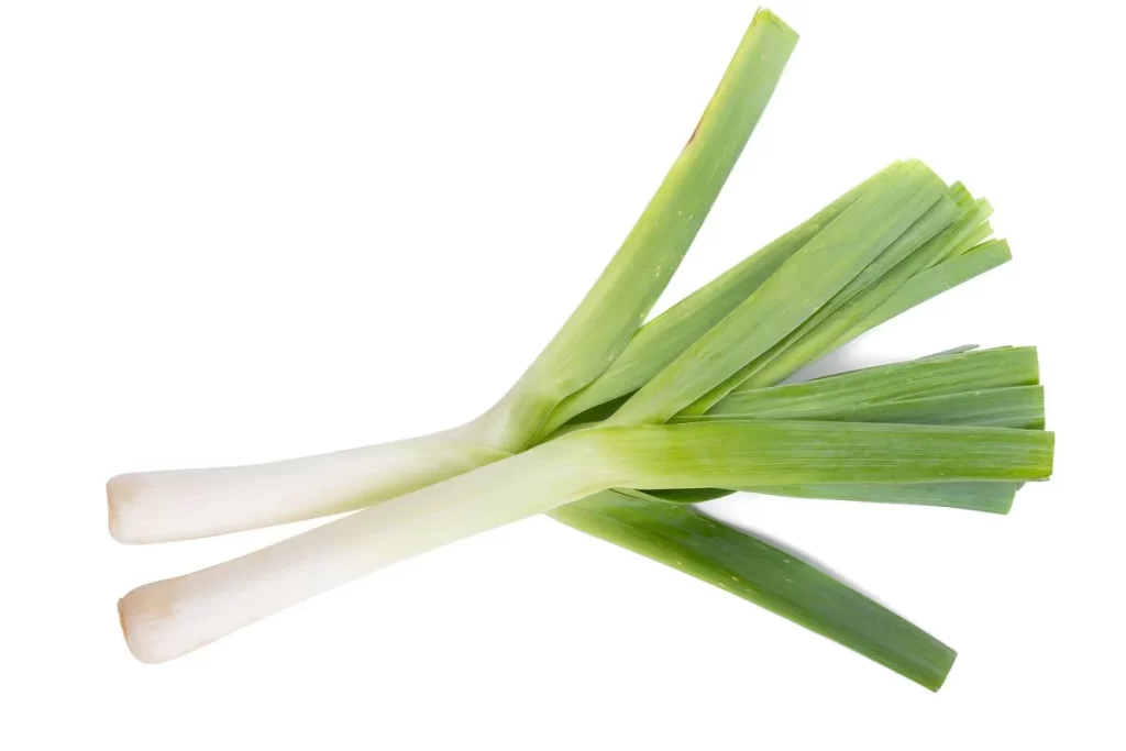 Leek Green Long Stalky Fresh