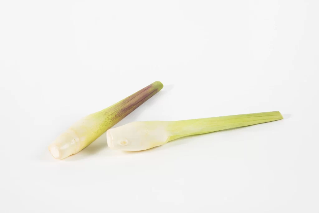 Lemon Grass Green Long Stem