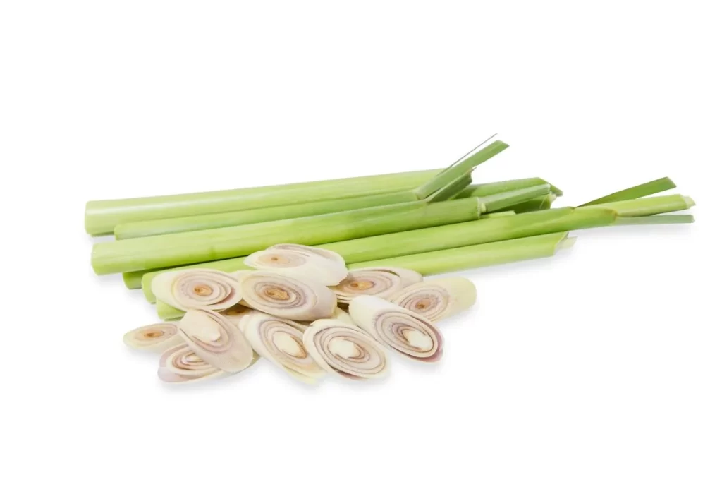 Lemongrass Green Long Stalk