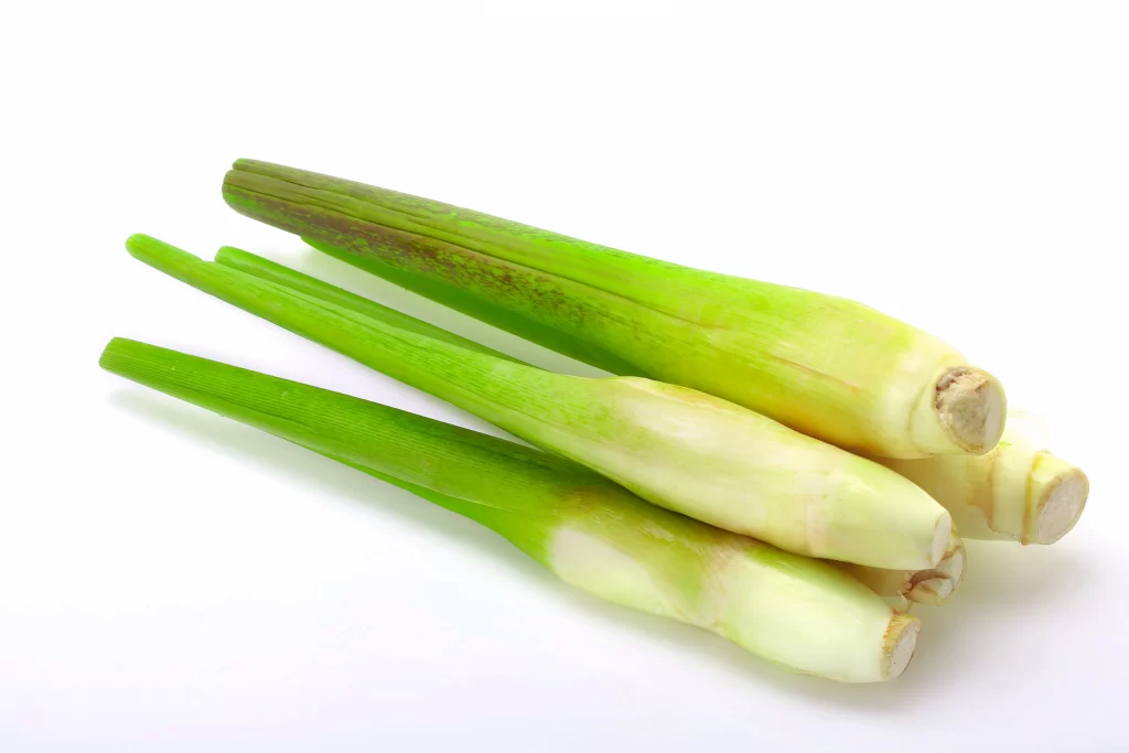 Lemongrass Green Stalks Fresh Aromatic