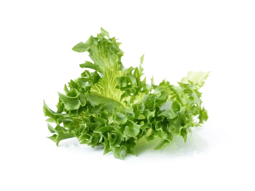 Lettuce Green Crisp Fresh Leafy
