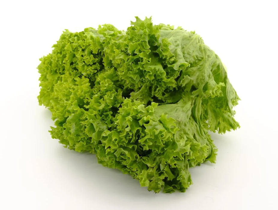 Lettuce Green Crisp Fresh