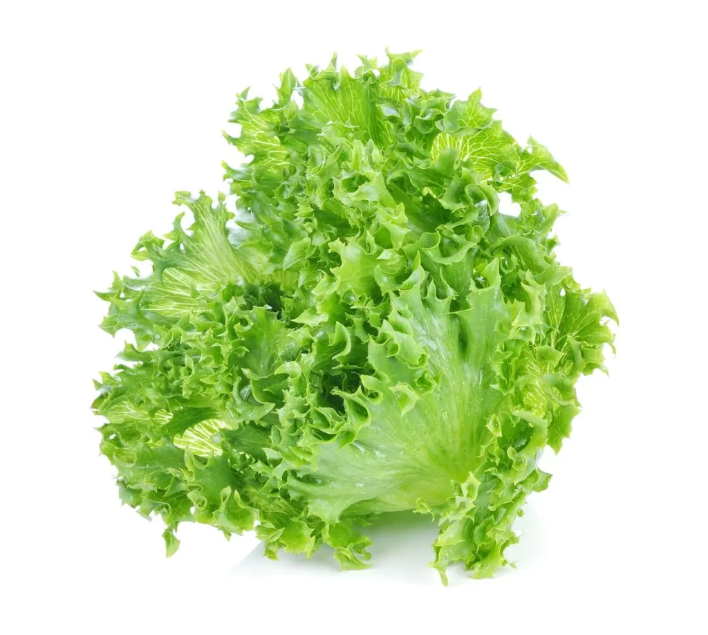 Lettuce Green Crisp Leafy Fresh