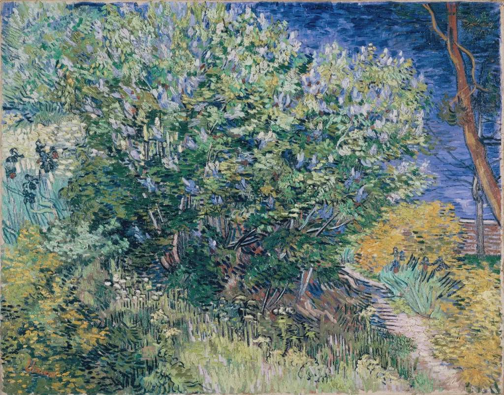 Lilac Bush Van Gogh