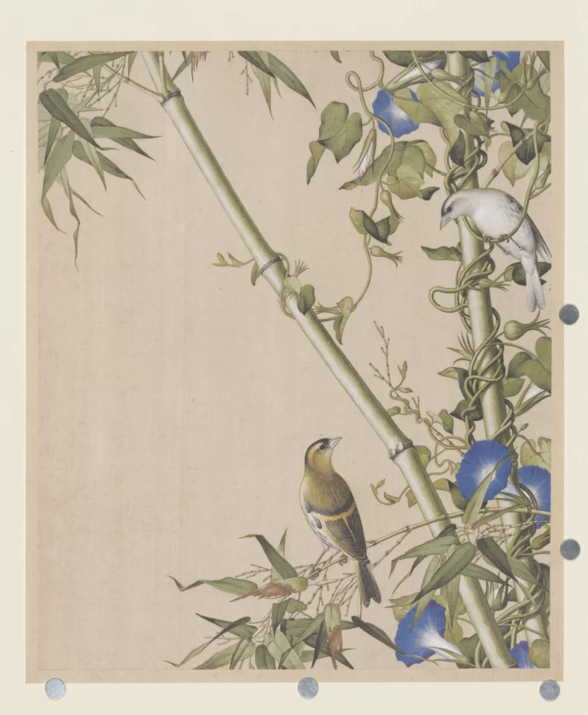 Lily Dragonfly Castiglione