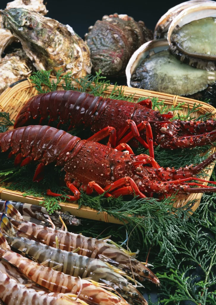 Lobster Red Shell Fresh Seafood Green Herbs
