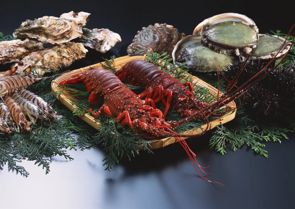 Lobster Red Shell Seafood Fresh Green Herbs