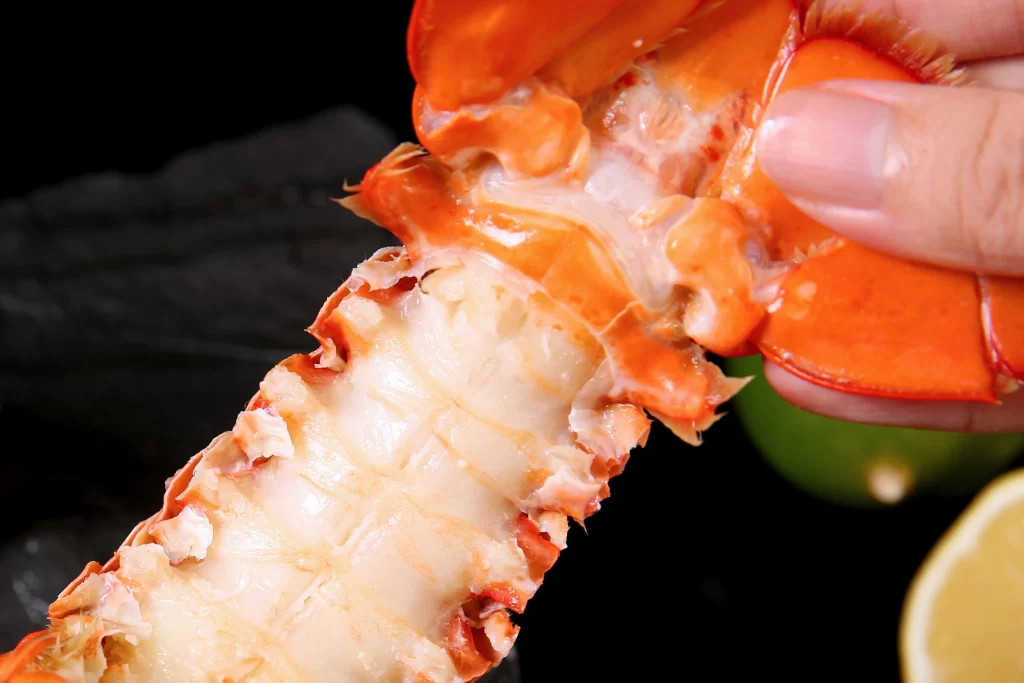 Lobster Tail Red Shell White Meat