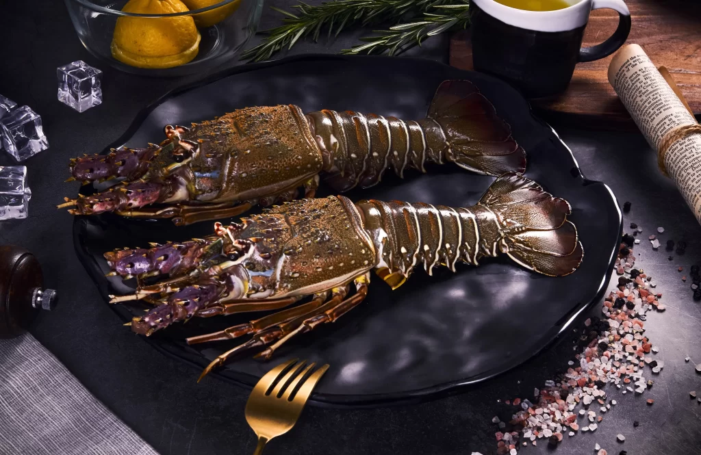 Lobster Whole Brown Shell Dark Plate