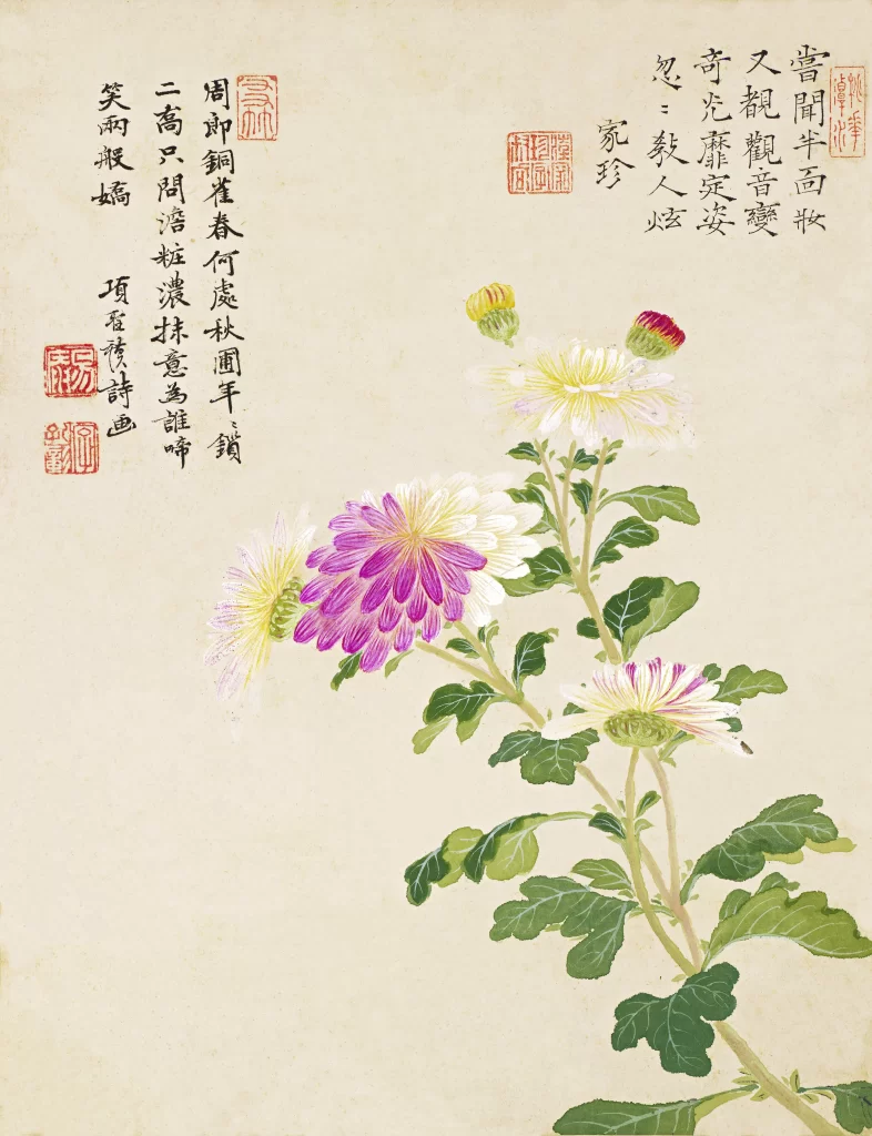 Lotus Bud Leaf Reed Purple Flowers Xiang Shengmo